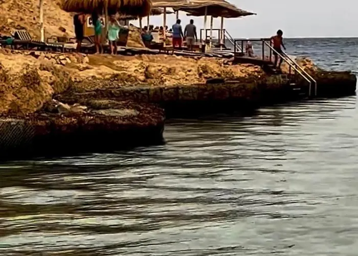 Domina Coral Bay Oasis *
